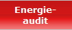 Energie-
audit